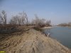 Корни и ветви от порубленных деревьев сгребли прямо в Горский затон