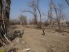 Пустыня для обеспечения покатушек спортсменов-автомобилистов на месте уничтоженного леса на Горской косе