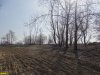 Лес на Горской косе превратили в трассу для автоспортсменов