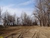 Горская коса. Автогоночная пустыня на месте леса