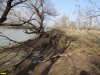 Массовая вырубка леса на Горской косе создает угрозу размыва этой косы, сложенной намывными песками