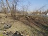 Порубка леса на Горской косе в Краснодаре