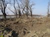 Порубка пойменного леса на Горской косе