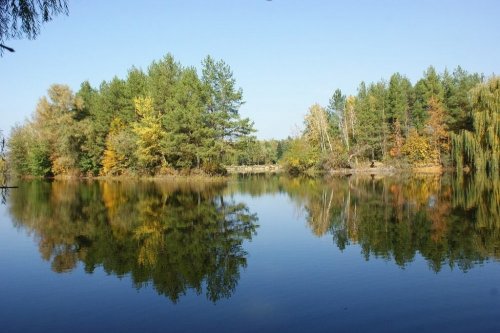 Растительность дендрария