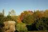 Растительность дендрария