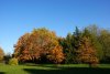 Растительность дендрария 
