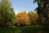Растительность дендрария