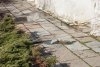 Разбитые дорожки в дендрарии