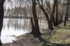 Критическое состояние дендрологического парка