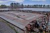 Критическое состояние дендрологического парка