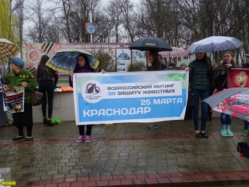 Пикет  в защиту прав животных в Краснодаре в рамках общероссийского движения "Россия в защиту животных"