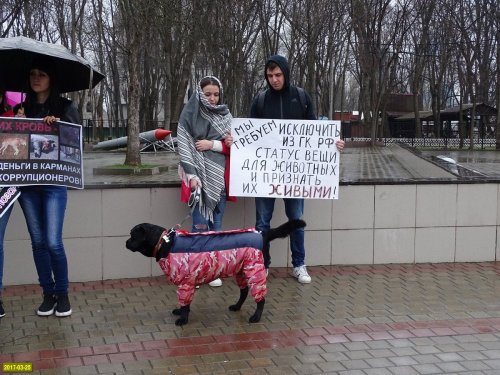 Пикет  в защиту прав животных в Краснодаре в рамках общероссийского движения "Россия в защиту животных"