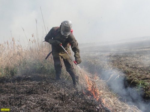 Добровольцы тушат пожар