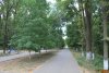 Роща "Красная весна" в Новочеркасске