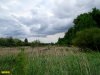 Березово-ореховая роща возле Новотиторовской