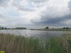 Березово-ореховая роща возле Новотиторовской