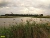 Березово-ореховая роща возле Новотиторовской