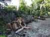 Последствия подготовки к возведению железобетонного забора вокруг гимназии №72