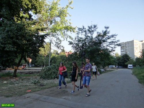 Активисты ЭкоВахты обходят территорию вырубки