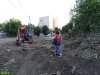 Вырубка деревьев на территории гимназии №72 в Краснодаре