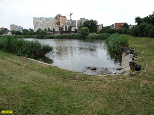 Очередной замор рыбы в Карасунских озёрах
