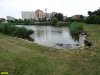 Очередной замор рыбы в Карасунских озёрах