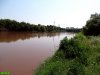 (2017.07.25) Озеро Горская Старица после очередного слива в него отходов