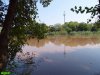 (2017.07.25) Озеро Горская Старица после очередного слива в него отходов
