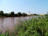 	(2017.07.25) Озеро Горская Старица после очередного слива в него отходов