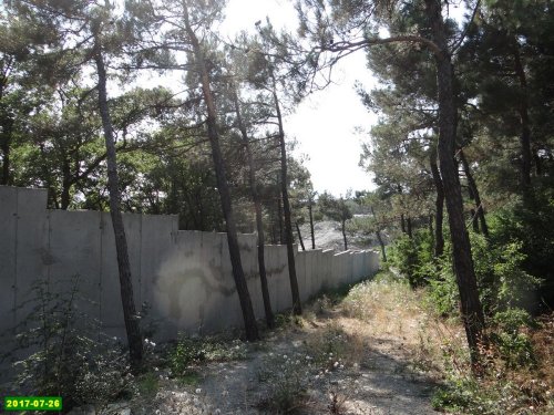 В Кабардинке захвачен участок леса
