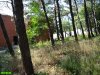 В Кабардинке захвачен участок леса