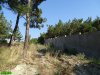 В Кабардинке захвачен участок леса