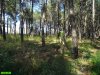 В Кабардинке захвачен участок леса