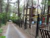 Инспекция лесной гостиницы "Сафоново" в Джанхоте