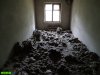 Незаконно построенные и приватизированные дома в лесу возле Джанхота