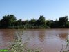 Экологическое бедствие на озере Горская Старица продолжается