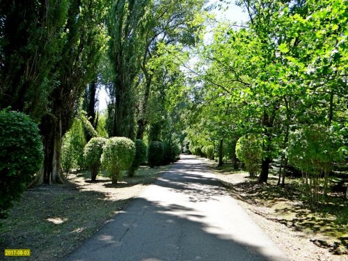 Внутренняя дорога на "даче Ремезкова"
