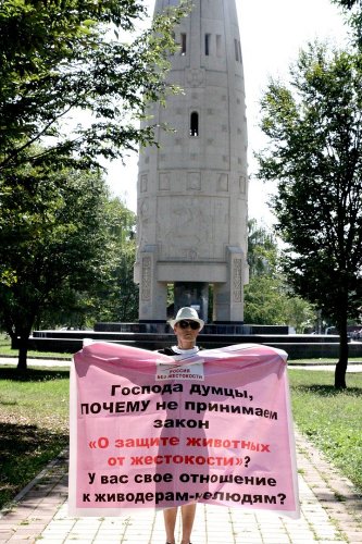 Зоозащитные пикеты в Майкопе