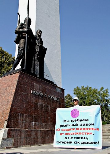 Зоозащитные пикеты в Майкопе