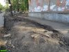 Краснодар. Вырубка на улице Селезнёва
