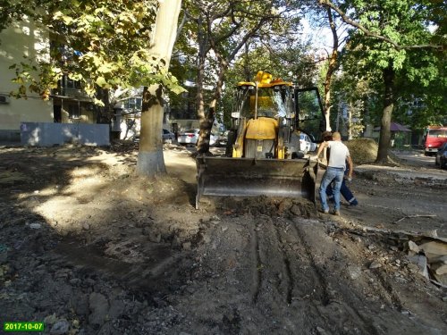 Краснодар. Вырубка на улице Селезнёва