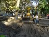 Краснодар. Вырубка на улице Селезнёва
