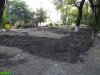 Краснодар. Вырубка на улице Селезнёва