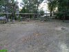 Краснодар. Вырубка на улице Селезнёва