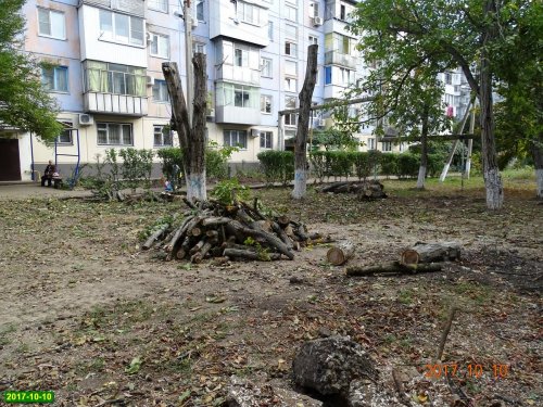 Краснодар. Вырубка на улице Селезнёва