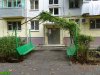 Краснодар. Вырубка на улице Селезнёва