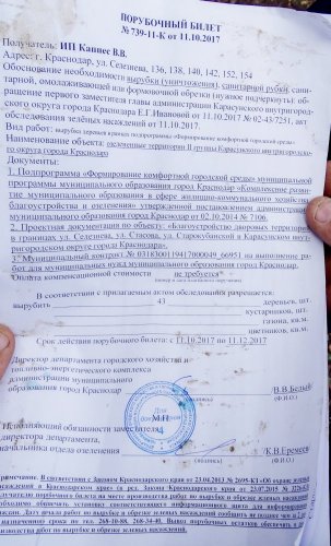 Порубочный билет