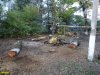 Краснодар. Попытка вырубки на улице Селезнёва