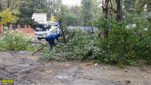 Краснодар. Попытка вырубки на улице Селезнёва