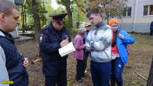 Краснодар. Попытка вырубки на улице Селезнёва